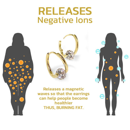 🔥LAST DAY SALE-80% OFF)SEAGRIL Lymphatic MagneTherapy Germanium Earrings